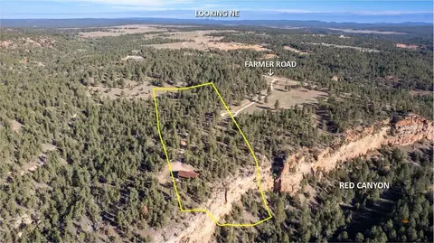 Other - 11595 Farmer Rd #WHITE BUFFALO CABIN, Custer, SD 57730 photo 6 of 13