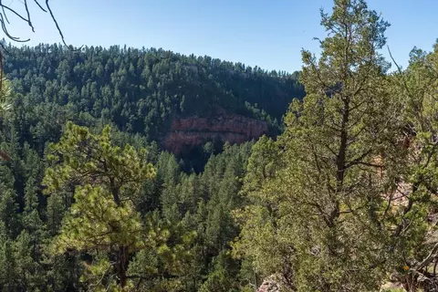 Other - 11595 Farmer Rd #WHITE BUFFALO CABIN, Custer, SD 57730 photo 8 of 13