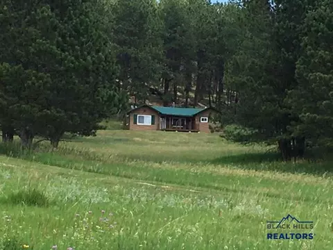 12067 Woodford Rd, Custer, SD 57730 photo 8