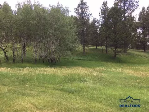 12067 Woodford Rd, Custer, SD 57730 photo 9