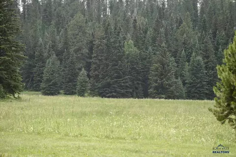10661 S Rapid Creek Rd, Lead, SD 57754 photo 9