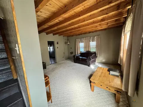 360 Antelope St, Pringle, SD 57773 photo 11