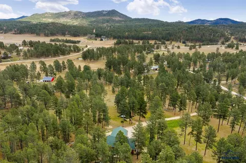 12354 Tin Cup Trl, Custer, SD 57730 photo 36