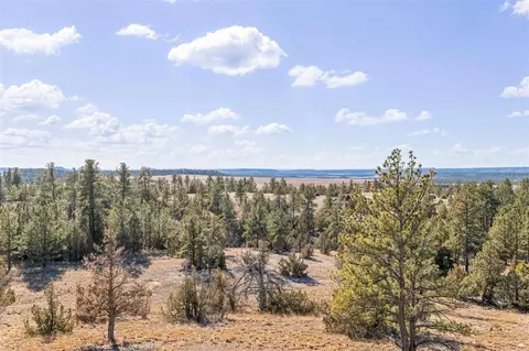 View/Area - 11431 Wrangler Rd, Custer, SD 57730 photo 4 of 5