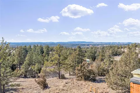 View/Area - 11431 Wrangler Rd, Custer, SD 57730 photo 5 of 5