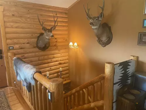 Entry Way - 11821 Diamond Dr, Custer, SD 57730 photo 1 of 4