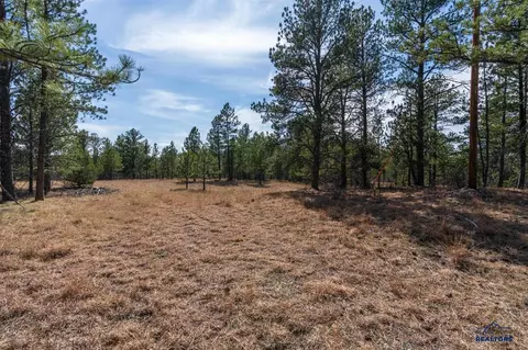 Other - tbd Highway 16 #CUR HIGHLANDS AREA, Edgemont, SD 57735 photo 18 of 29