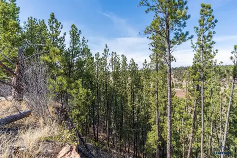Other - tbd Highway 16 #CUR HIGHLANDS AREA, Edgemont, SD 57735 photo 24 of 29