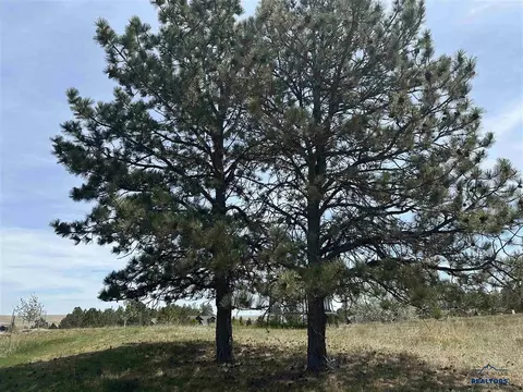 13558 Frontier Loop, Piedmont, SD 57769 photo 35