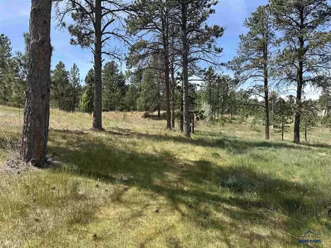 13558 Frontier Loop, Piedmont, SD 57769 photo 38