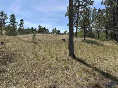 13558 Frontier Loop, Piedmont, SD 57769 photo 39