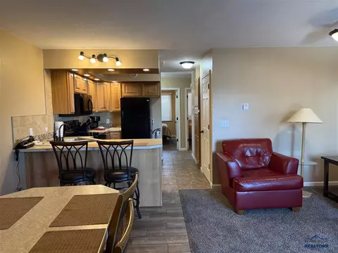 21111 Sv Apt 321 Barefoot Loop, Lead, SD 57754 photo 7