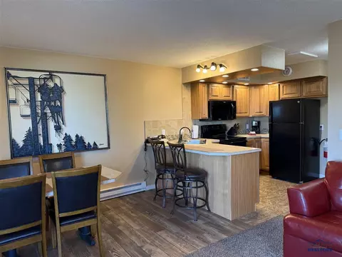 21111 Sv Apt 321 Barefoot Loop, Lead, SD 57754 photo 4