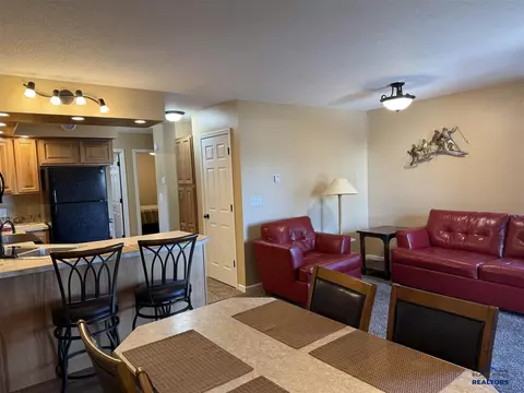 21111 Sv Apt 321 Barefoot Loop, Lead, SD 57754 photo 6