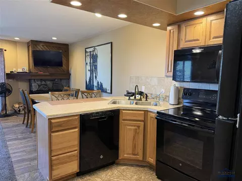 21111 Sv Apt 321 Barefoot Loop, Lead, SD 57754 photo 9
