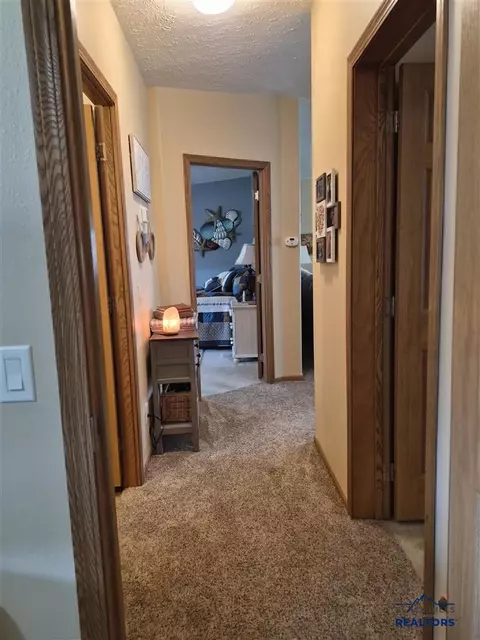 1209 Terry Peak Ln, Spearfish, SD 57783 photo 31