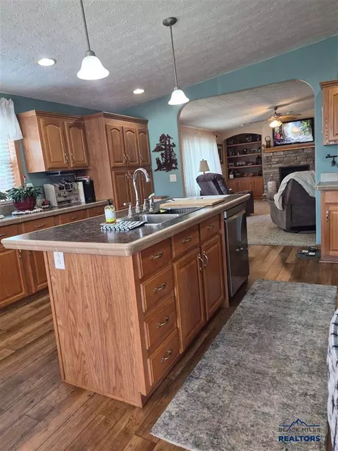 1209 Terry Peak Ln, Spearfish, SD 57783 photo 19