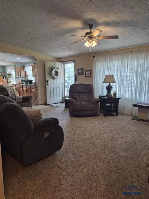 1209 Terry Peak Ln, Spearfish, SD 57783 photo 14