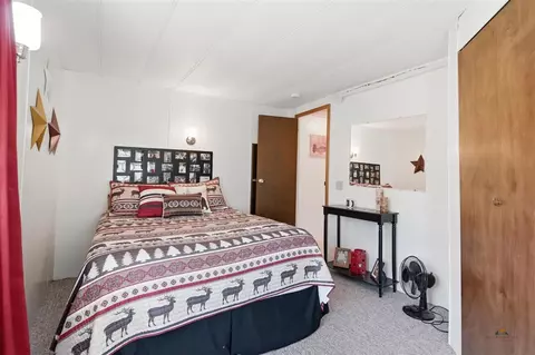 25961 Red Star Dr, Custer, SD 57730 photo 23