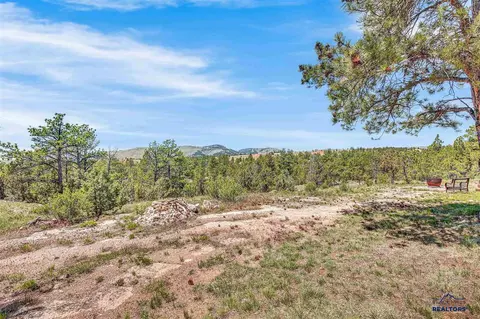 10297 Timber Trl #EDGEMONT ADDRESS, Edgemont, SD 57735 photo 9