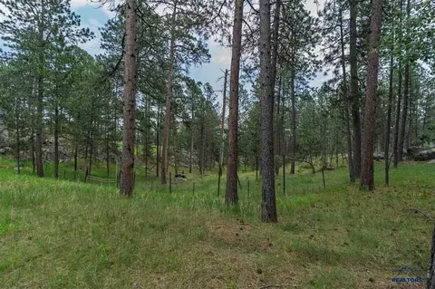 25138 Needles Dr, Custer, SD 57730 photo 10