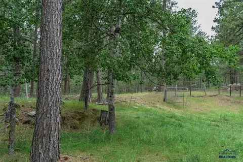 25138 Needles Dr, Custer, SD 57730 photo 12