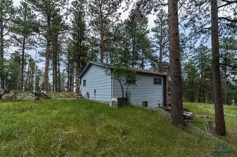 25138 Needles Dr, Custer, SD 57730 photo 9