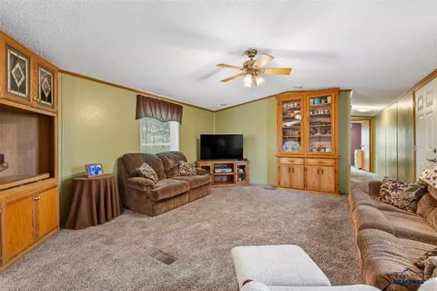 131 Primrose Pl, Custer, SD 57730 photo 8