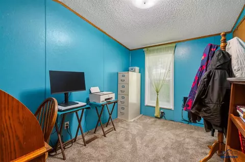 131 Primrose Pl, Custer, SD 57730 photo 17