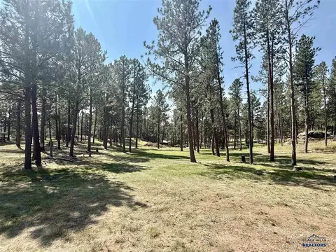 12237 Weaver Dr, Custer, SD 57730 photo 34