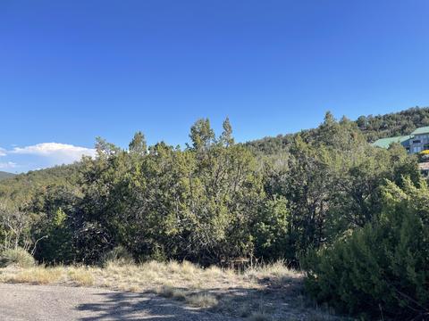 55 Canyon Ridge Dr, Sandia Park, NM 87047