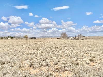 40 Roach Rd, Stanley, NM 87056 photo 1