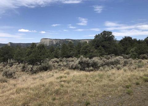 S Leaning Lot B, Tierra Amarilla, NM 87575