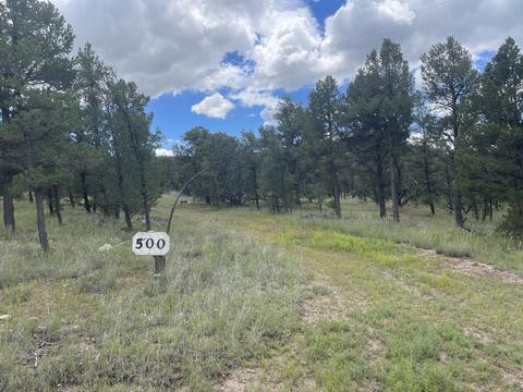 500 Frontier Trl, Datil, NM 87821 photo 1