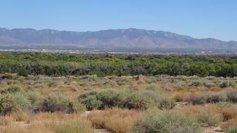 5008 Cinnamon Teal Ct NW, Albuquerque, NM 87120