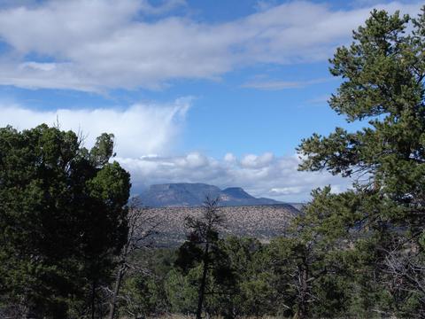 82 Nance Dr, Datil, NM 87821 photo 1
