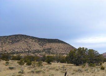 41 Wildwood Loop, Datil, NM 87821 photo 1