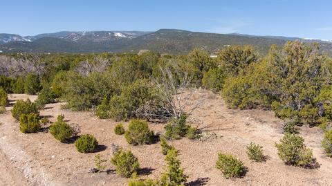 Gunsmoke Road, Sandia Park, NM 87047