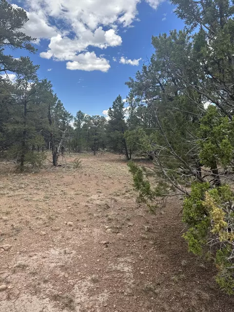 184 Wilderness Cir, Datil, NM 87821 photo 1