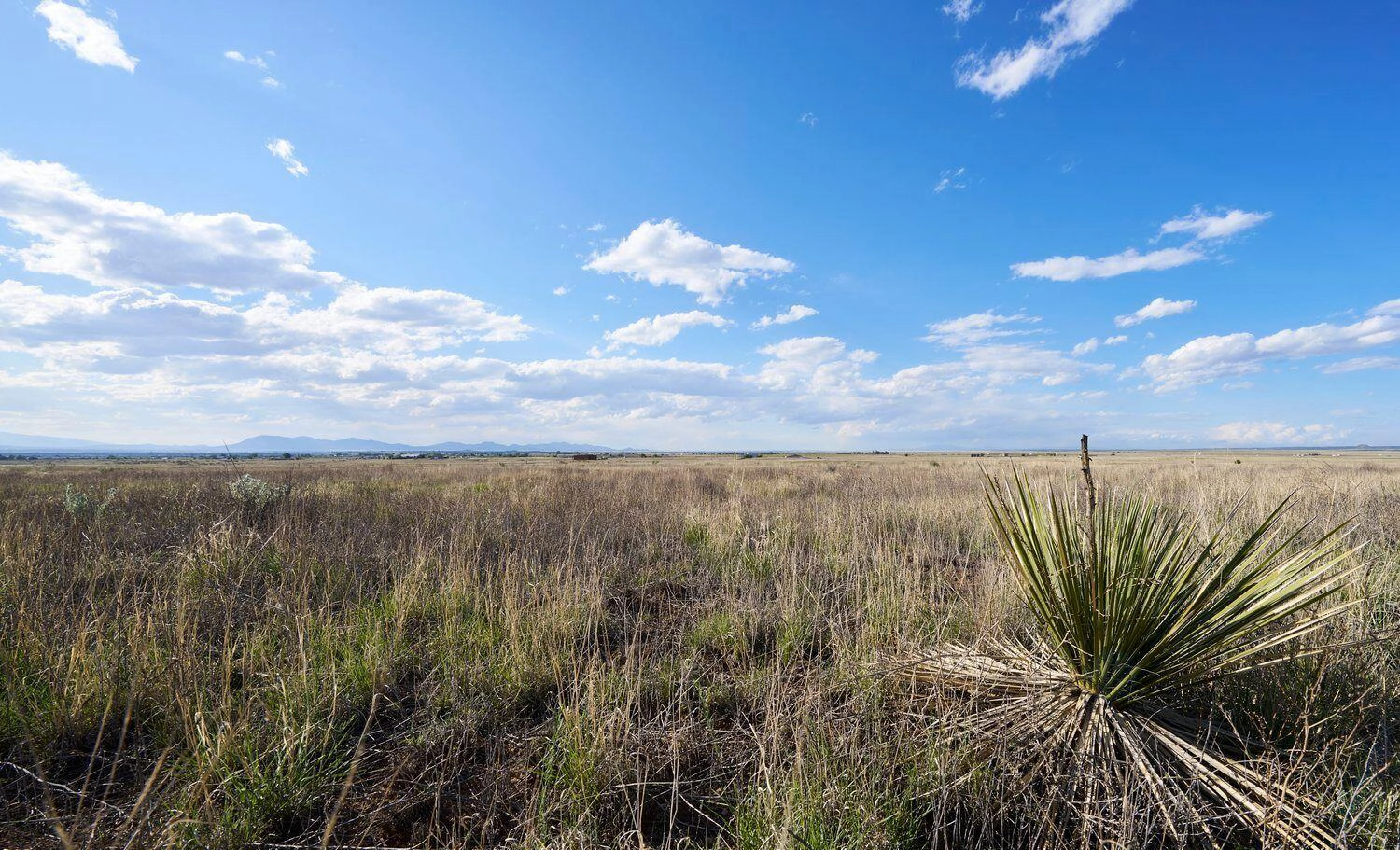 Palomino Lot 16 Dr  