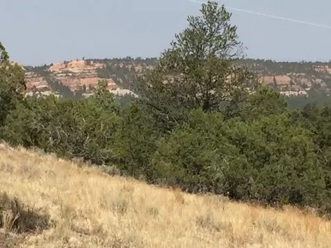 lot3 Sunflower Dr, Ramah, NM 87321