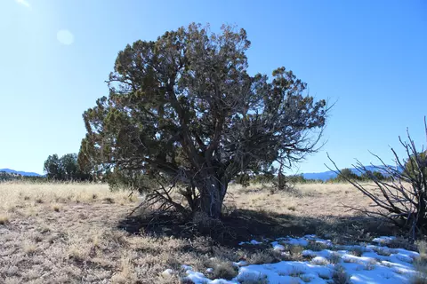 105 Acres Demetrio Rd, Sandia Park, NM 87047