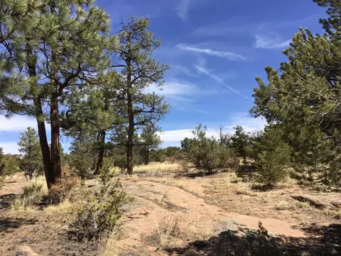lot636 Edgewood Dr, Ramah, NM 87321