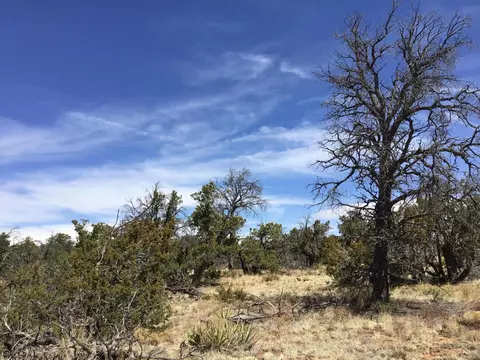 lot636 A Edgewood Dr, Ramah, NM 87321