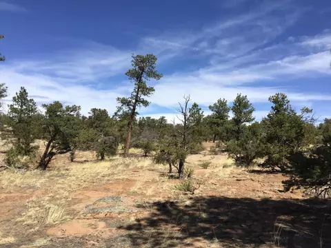 lot641 Gabe Rd, Ramah, NM 87321