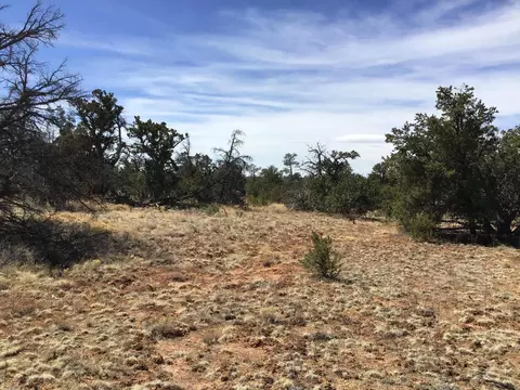 lot641 A Gabe Rd, Ramah, NM 87321