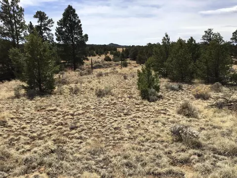 lot682 Che Loop, Ramah, NM 87321
