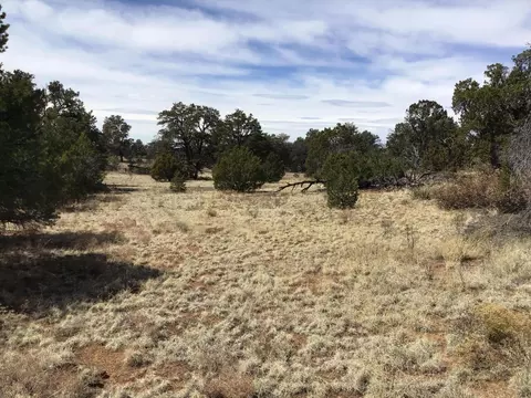 lot694 Fred Rd, Ramah, NM 87321