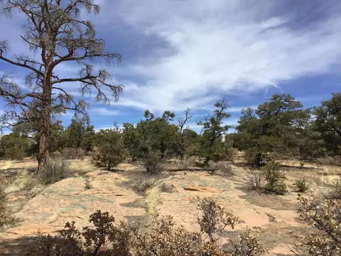 lot696 Gabe Rd, Ramah, NM 87321