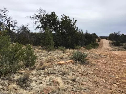 lot585 Betty Ln, Ramah, NM 87321